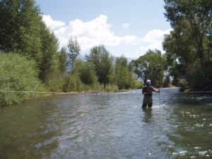 Flow Measurements and Surface Water Studies