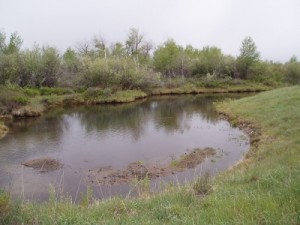 Flow Measurements and Surface Water Studies