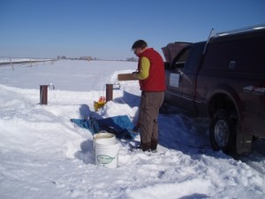 Water Quality Studies 