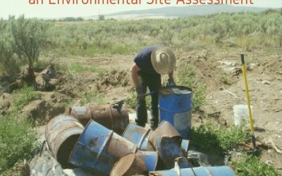 How To Choose the Right Consultant for an Environmental Site Assessment