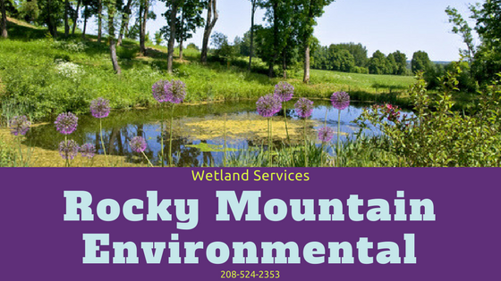 Rocky Mountain Wetland Science Services