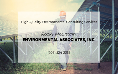 What to Look for When Choosing an Environmental Consulting Firm