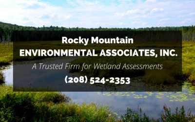 Rocky Mountain Environmental Associates Inc.: A Trusted Firm for Idaho Falls Wetland Assessments