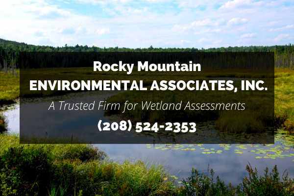 Rocky Mountain Environmental Associates Inc.: A Trusted Firm for Idaho Falls Wetland Assessments