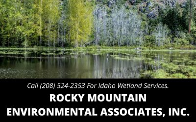 Wetland Services in Idaho