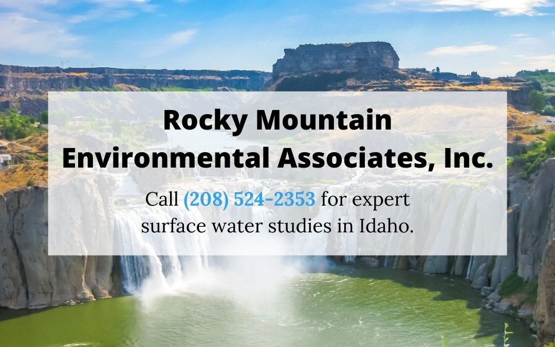 Rocky Mountain Environmental Associates, Inc.: Idaho Surface Water Studies